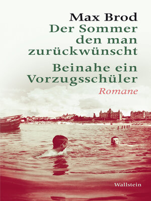 cover image of Der Sommer den man zurückwünscht / Beinahe ein Vorzugsschüler